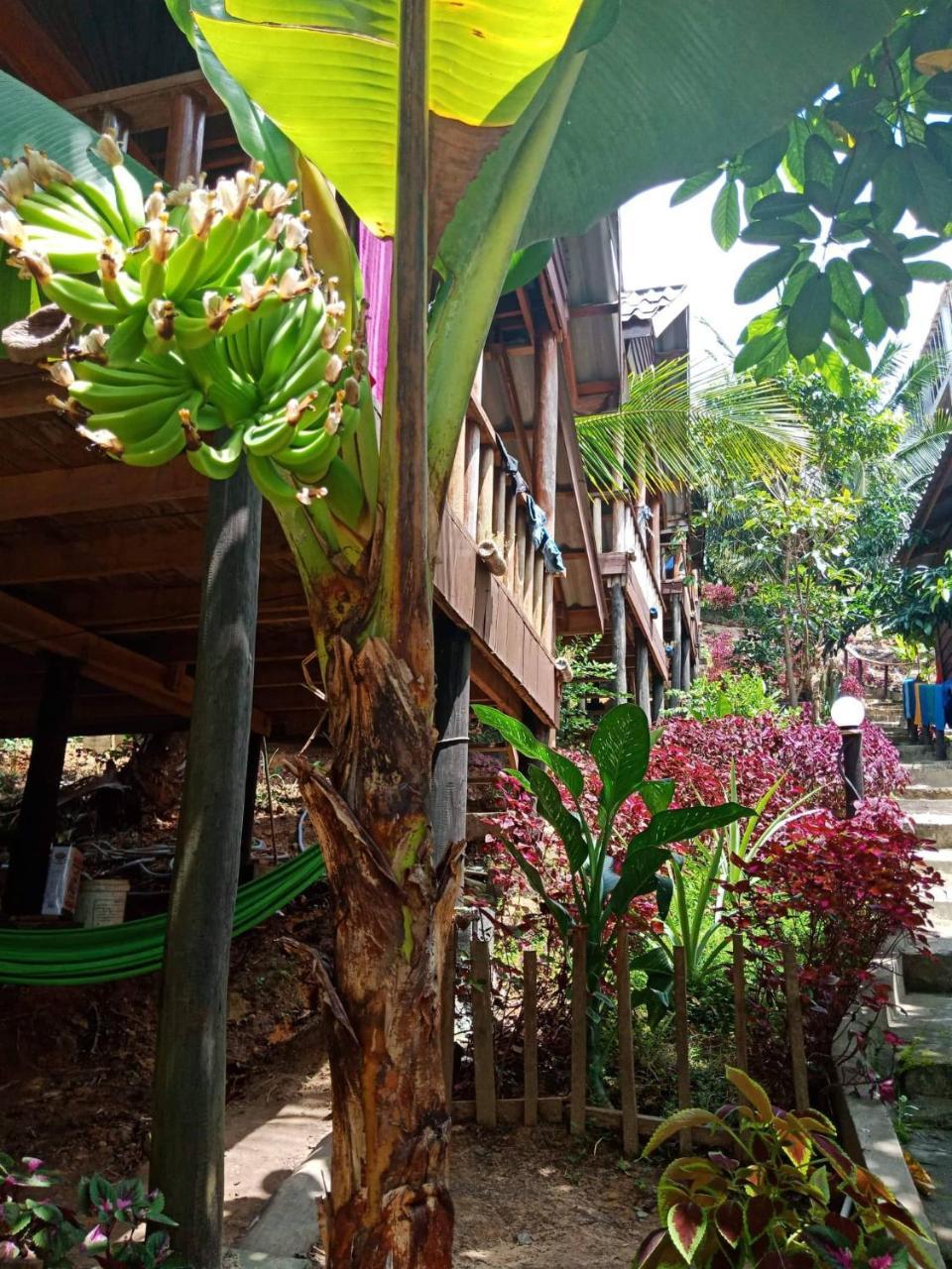 Happy Elephant Bungalows Kaoh Touch Extérieur photo